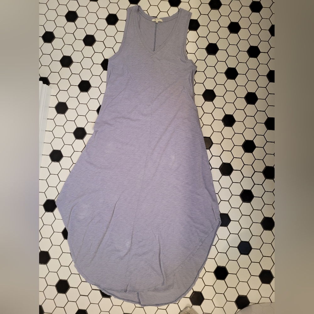 Z supply Reverie dress